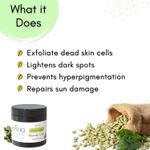 Buy Mystiq Living Specials - Green Coffee Blemish Clear - Face Scrub | De Tan, Dark Spot Removal , Anti Pigmentation, Skin Brightening & Glowing Skin | With Oatmeal & Turmeric | Ayurvedic Formulation - 100 GM - Purplle