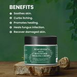 Buy BIOAYURVEDA Anti-Ringworm Healing Creme 250 g - Purplle