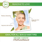 Buy Organic Harvest Aloe Vera Gel: Turmeric | Hair & Skin Moisturizer | For Glowing Skin & Soft Hair | For Men & Women | 100% American Certified Organic | Sulphate & Paraben-free - 100gm - Purplle