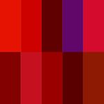Buy Mattlook 10 Color Rich Lip Palette, Multicolor-03 (8 gm) - Purplle