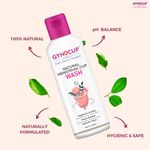 Buy GynoCup Premium Reusable Menstrual Cup for Women| Large Size |Pink Color |With Menstrual Cup Cleanser Wash 100ml (Combo) - Purplle