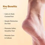 Buy Fixderma 5% Lactic Acid, 15% Urea, 3% Glycerine, Foot Cream For Dry & Cracked Feet, Moisturizes And Soothes Feet, Heel Repair Paraben & Sulphate Free, All Skin Types 60 ml - Purplle