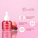 Buy Earth Rhythm Pomegranate Facial Oil | Boosts Collagen Production, Enchances Skin Elasticity, Promotes Even Tone Skin | for All Skin Types | Women - 20 ML - Purplle