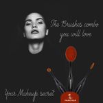 Buy Majestique Professional Eye Makeup Brush Set CMB512 Concealer, Blush and Eye Shadow for Women and Girls - Purplle