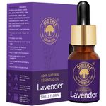 Buy Old Tree Lavender Essential Oil for Skin, Hair and Dandruff Care, (15 ml) - Purplle