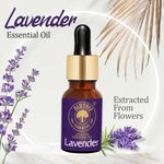 Buy Old Tree Lavender Essential Oil for Skin, Hair and Dandruff Care, (15 ml) - Purplle