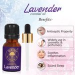Buy Old Tree Lavender Essential Oil for Skin, Hair and Dandruff Care, (15 ml) - Purplle