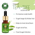 Buy Old Tree Tea Tree Oil for Skin, Hair and Acne Care (15 ml) - Purplle