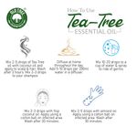 Buy Old Tree Tea Tree Oil for Skin, Hair and Acne Care (15 ml) - Purplle