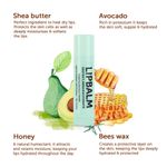 Buy Bella Vita Organic LipBalm Natural Balm 4 gm - Purplle