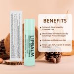 Buy Bella Vita Organic LipBalm Natural Balm 4 gm - Purplle