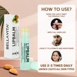 Buy Bella Vita Organic LipBalm Natural Balm 4 gm - Purplle