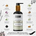 Buy Miel Natural Moroccan Argan Shampoo For Hair Fall Control and Frizz Control - Purplle