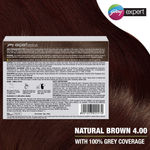 Buy Godrej Expert Creme Natural Brown - Pack of 4 80gm+80ml - Purplle