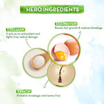 Buy Mamaearth Eggplex Shampoo, for strong hair, with Egg Protein for Strength and Shine (250 ml) - Purplle