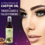 Buy EARTH THERAPY® Jamaican Castor Oil For Fuller Eyebrows Thicker Eyelashes Organic Oil - 100ML - Purplle
