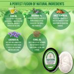 Buy EARTH THERAPY® Whitening & Tightening Collagen Night Cream for Naturally Beautiful Skin for Women n Men - 50gm (2) - Purplle
