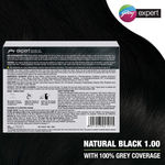 Buy Godrej Expert Creme Natural Black - Pack of 4 80gm+80ml - Purplle