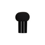 Buy Swiss Beauty Magic Cushion Foundation 1 IVORY (18 g) - Purplle