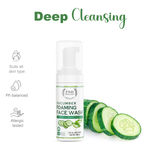 Buy FABONATURALS Cucumber Foaming Facewash - Purplle