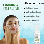Buy FABONATURALS Cucumber Foaming Facewash - Purplle