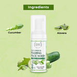 Buy FABONATURALS Cucumber Foaming Facewash - Purplle