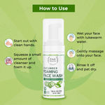 Buy FABONATURALS Cucumber Foaming Facewash - Purplle