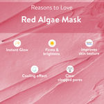 Buy Belora Paris Red algae skin repair mask - Purplle