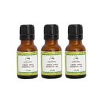 Buy Labonita Pack of 3 Labonita 100% Natural Green Apple Essential Oil - (15 ml each) - Purplle