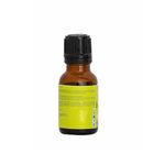 Buy Labonita Pack of 3 Labonita 100% Natural Green Apple Essential Oil - (15 ml each) - Purplle