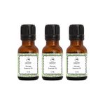 Buy Labonita Pack of 3 Labonita 100% Natural Moringa Essential Oil - (15 ml each) - Purplle