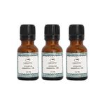 Buy Labonita Pack of 3 Labonita 100% Natural Poision Essential Oil - (15 ml each) - Purplle