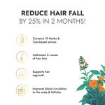 Buy Kapiva Tulsi Anti-Hair Fall Oil (200 ml) | With Tulsi actives for hairfall control and regrowth| Bhringraj, Brahmi & 17 others herbs - Purplle