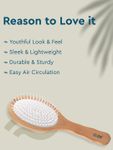 Buy GUBB Oval Hair Brush Broad GB-LH-044 ( Wooden Hues - Purplle