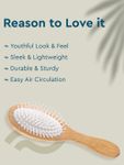 Buy GUBB Oval Hair Brush GB-LH-041 ( Wooden Hues) - Purplle