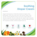 Buy Aleva Naturals Soothing Diaper Cream, 100 ml - Purplle