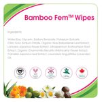 Buy Aleva Naturals Bamboo Fem Wipes, 30 Counts - Purplle