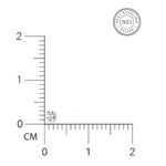 Buy ZAVYA 925 Sterling Silver Rhodium-plated Minimal CZ Studded Nose Pin Set | With Certificate of Authenticity and 925 Hallmark - Purplle