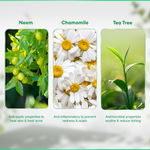 Buy VLCC Neem Face Wash (150 ml) (Buy 1 Get 1 Free) - Purplle