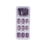 Buy Lick 30 Pcs Reusable French Manicure False/Fake Acrylic Press on Nails Extension - Purplle