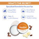 Buy Vaseline Lip Therapy Cocoa Butter,17 gm - Purplle