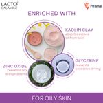 Buy Lacto Calamine Face Lotion Kaolin Clay For Oily Skin(60 ml) - Purplle