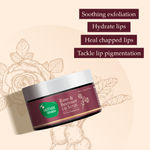 Buy Mother Sparsh Rose & Beetroot Lip Scrub For Dry Chapped Lips - 10gm - Purplle