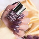 Buy DeBelle Gel Nail Lacquer Plum Toffee (Plum Maroon) - 8 ml - Purplle