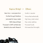 Buy Kapiva Himalayan Shilajit / Shilajeet Resin 10g - Purplle