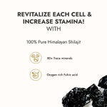 Buy Kapiva Himalayan Shilajit / Shilajeet Resin 10g - Purplle