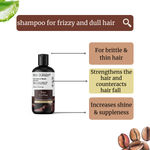 Buy Nina Dorada® Raw Coffee Shampoo with Silk Protein | With Coffee Granules | Deap cleanses| Detox and Sweat Control | Keratin Smooth | Paraben and SLS Free| For Men and Women | 300ml - Purplle