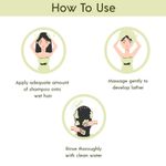 Buy Truthsome Anti-Dandruff Shampoo with Avocado & White Pepper, No Silicones, Sulphates, Parabens, Phthalates 300 ml - Purplle