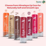Buy Himalaya Herbals Strawberry Shine Lip Balm (4.5 g) - Purplle