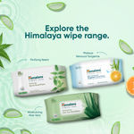 Buy Himalaya Purifying Neem Facial Wipes 25's - Purplle